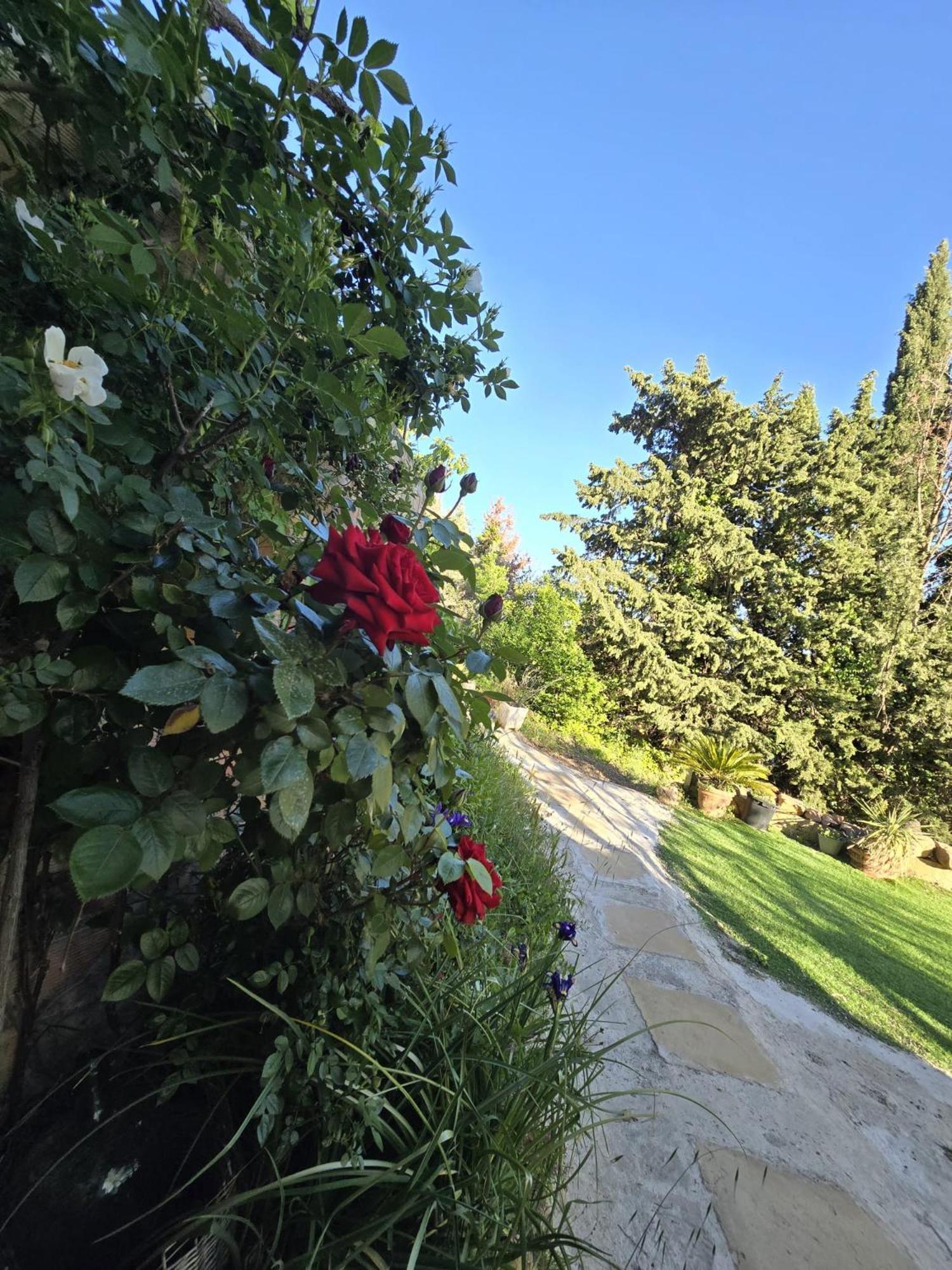 Hébergement de vacances Casa Jeronimo